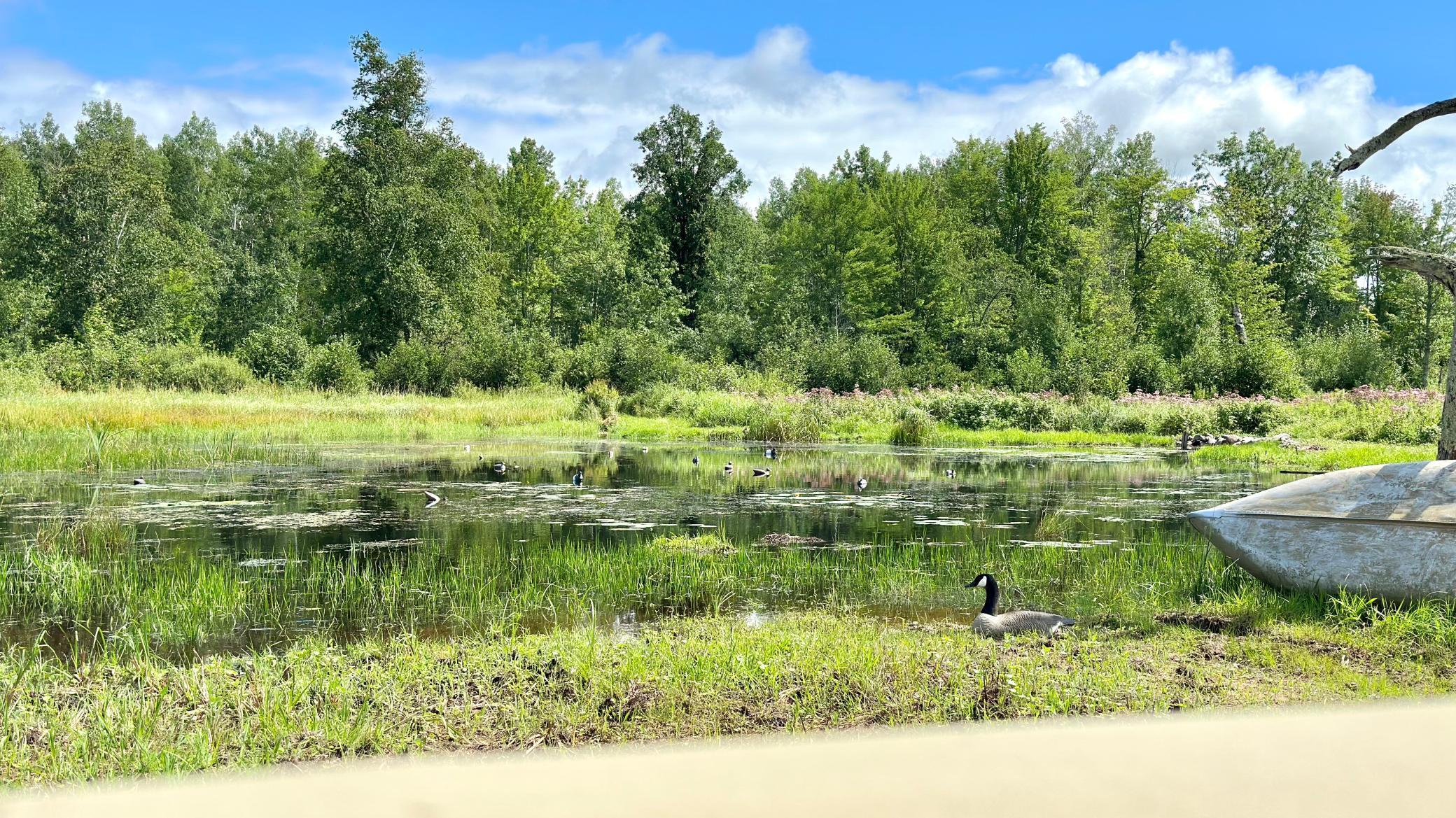 4030 North Road Moose Lake, MN 55767 - Photo 58 of 75