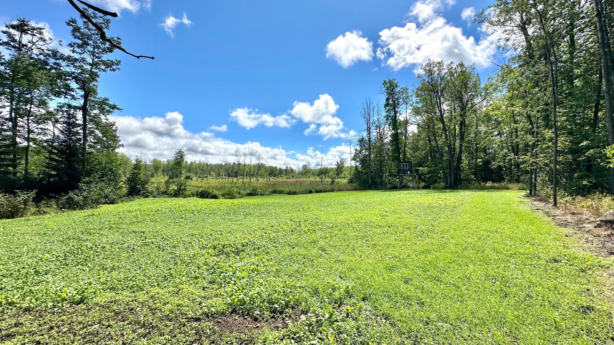 4030 North Road Moose Lake, MN 55767 - Photo 62 of 75