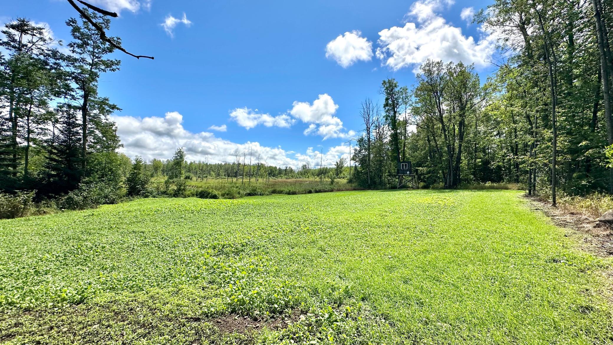 4030 North Road Moose Lake, MN 55767 - Photo 62 of 75