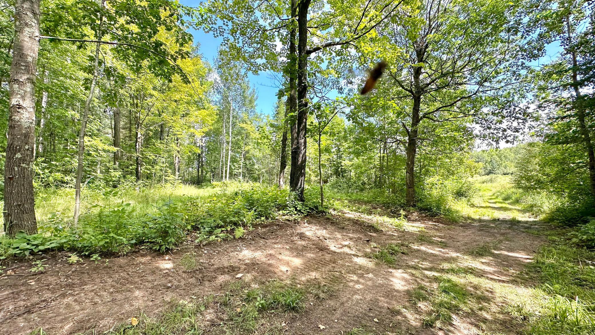 4030 North Road Moose Lake, MN 55767 - Photo 63 of 75