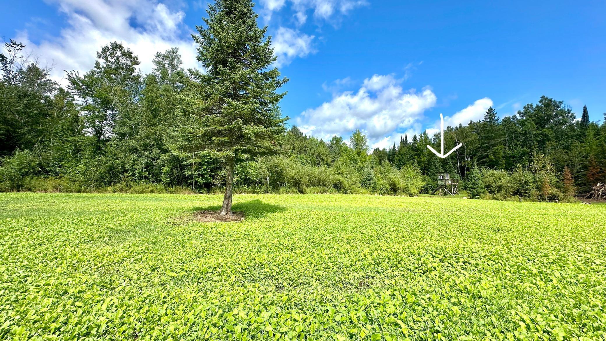 4030 North Road Moose Lake, MN 55767 - Photo 64 of 75