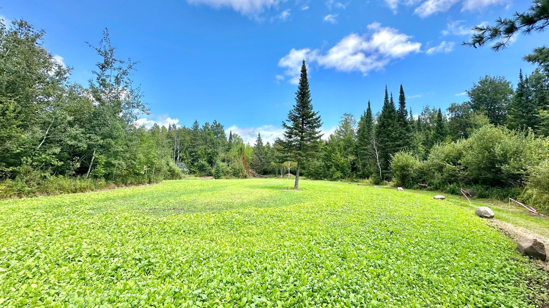 4030 North Road Moose Lake, MN 55767 - Photo 66 of 75
