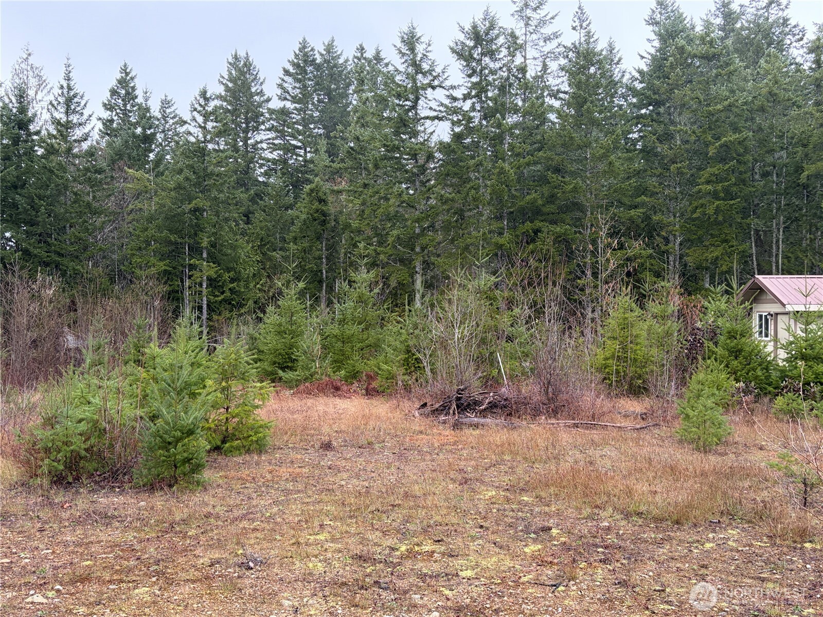 156 Whitney Road Quilcene, WA 98376 - Photo 10 of 36 Gallery Image 10