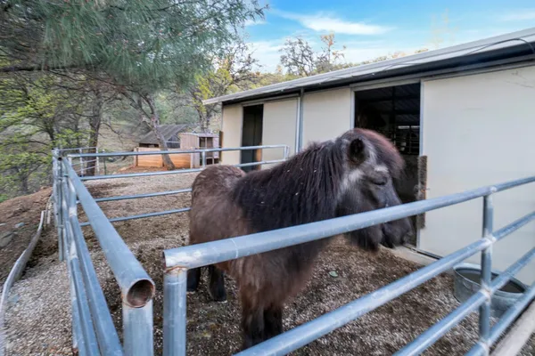 $1,099,000 | 9830 Deer Hollow Trail, Browns Valley, CA 95918