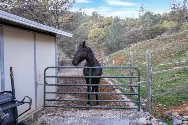 $1,099,000 | 9830 Deer Hollow Trail, Browns Valley, CA 95918