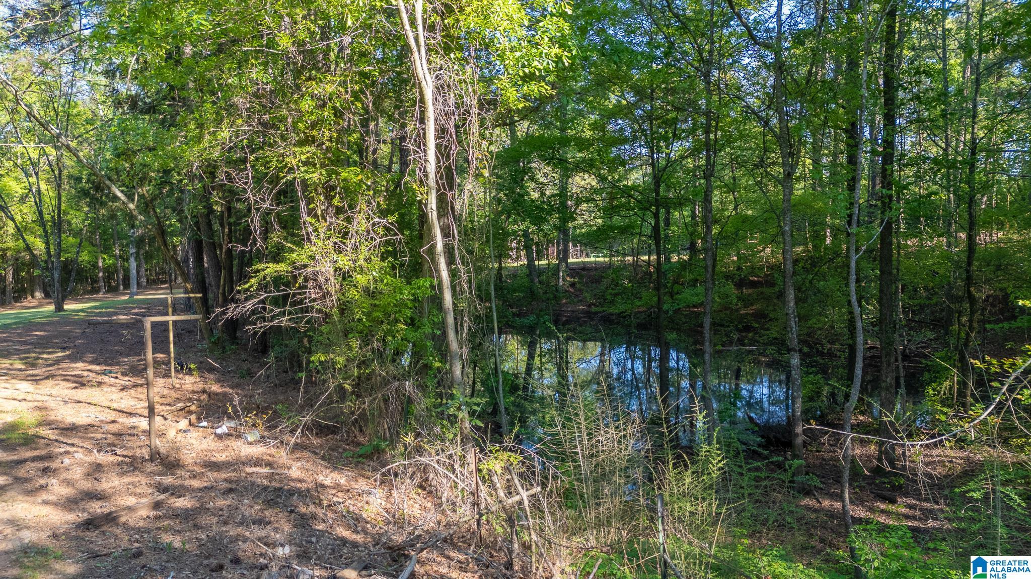4435 Renfroe Road Talladega, AL 35160 - Photo 82 of 99 Gallery Image 82