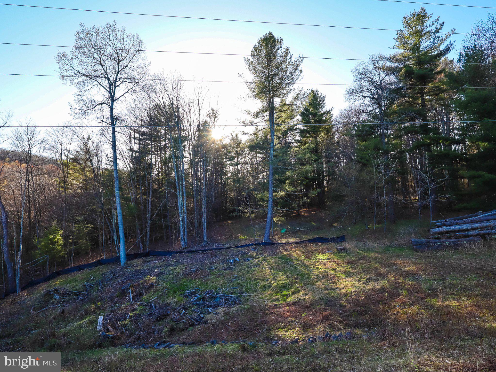 7 Twin Lakes Road Brackney, PA 18812 - Photo 24 of 36 Gallery Image 24