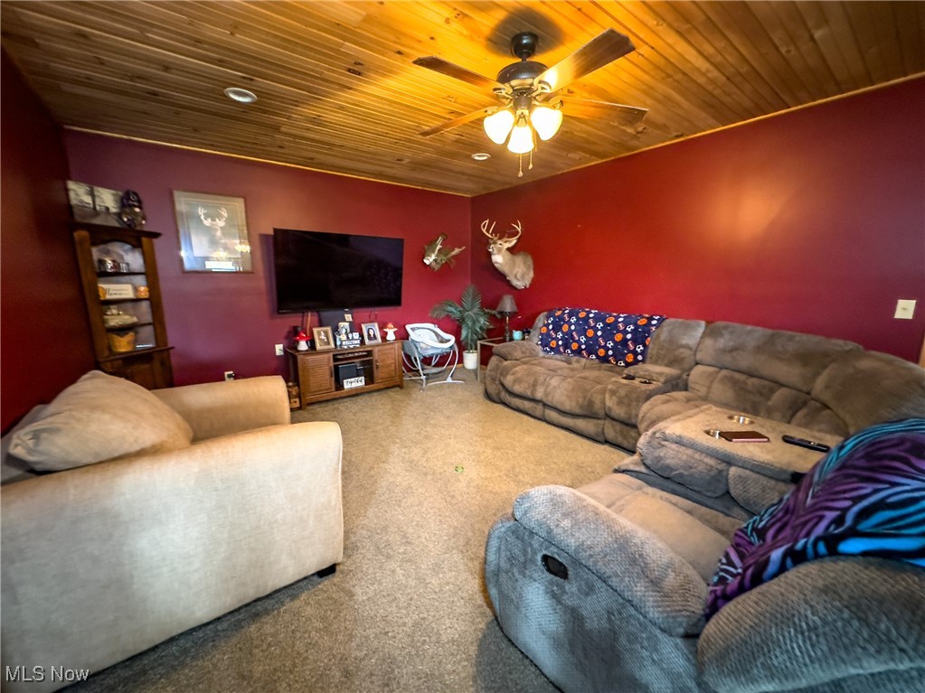 56567 Whiskey Run Road Quaker City, OH 43773 - Photo 16 of 43 Carpeted living room with a ceiling fan and wood ceiling
