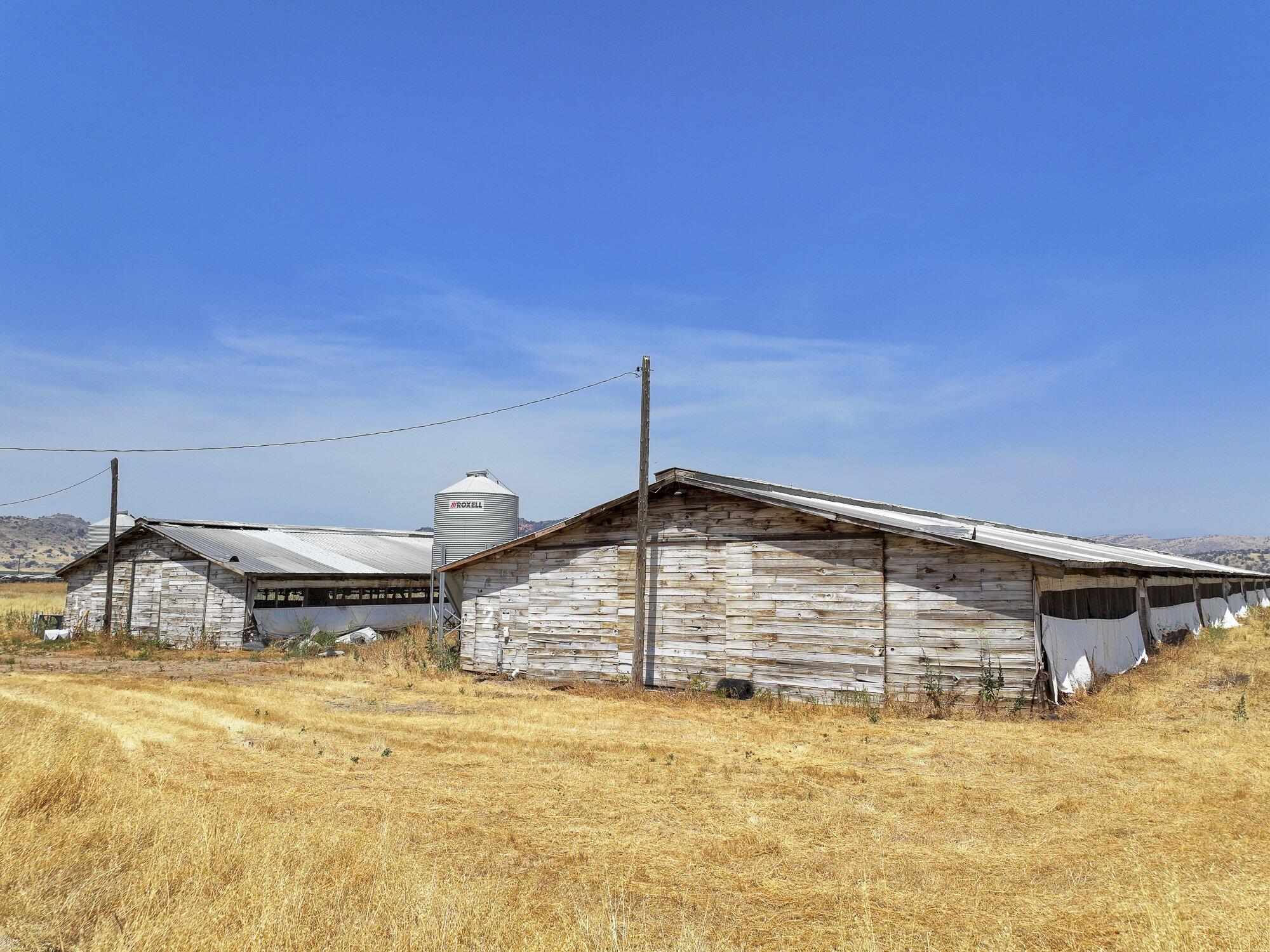 23169 Jensen Avenue Reedley, CA 93654 - Photo 7 of 24 2024-07-01-Schuil-Farms-For-Sale-00102-4
