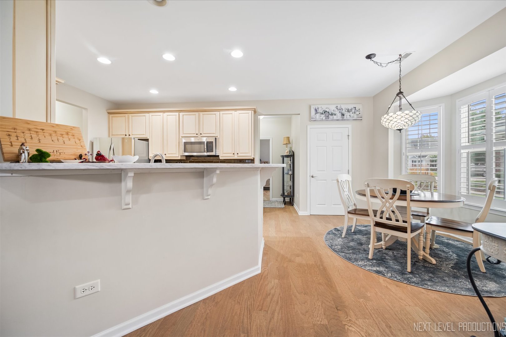 1031 Broadmoor Drive Elgin, IL 60124 - Photo 9 of 27