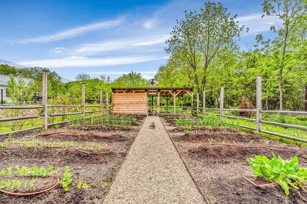 a view of a garden with a slide