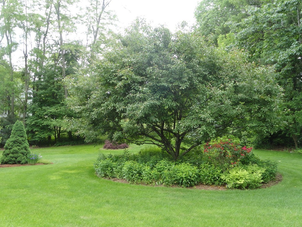 106 Lunenburg Road Townsend, MA 01474 - Photo 30 of 30