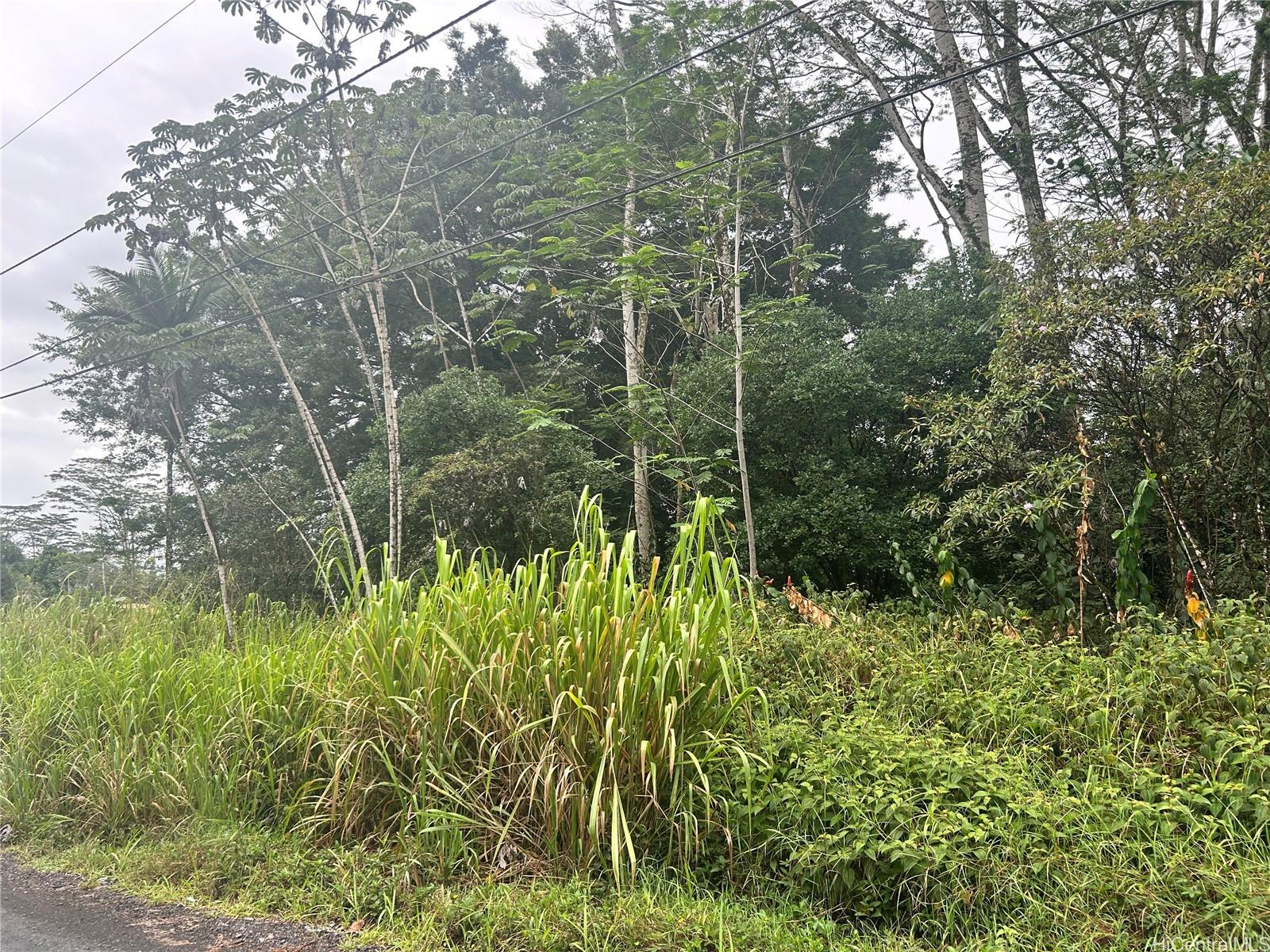 a view of a garden