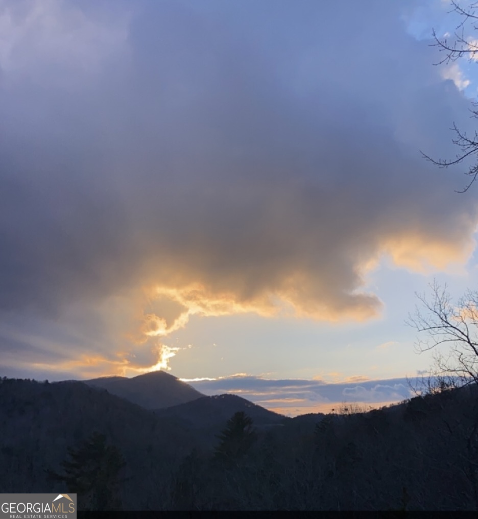 101 Falling Rock Road Blue Ridge, GA 30513 - Photo 50 of 66 Photo provided by seller