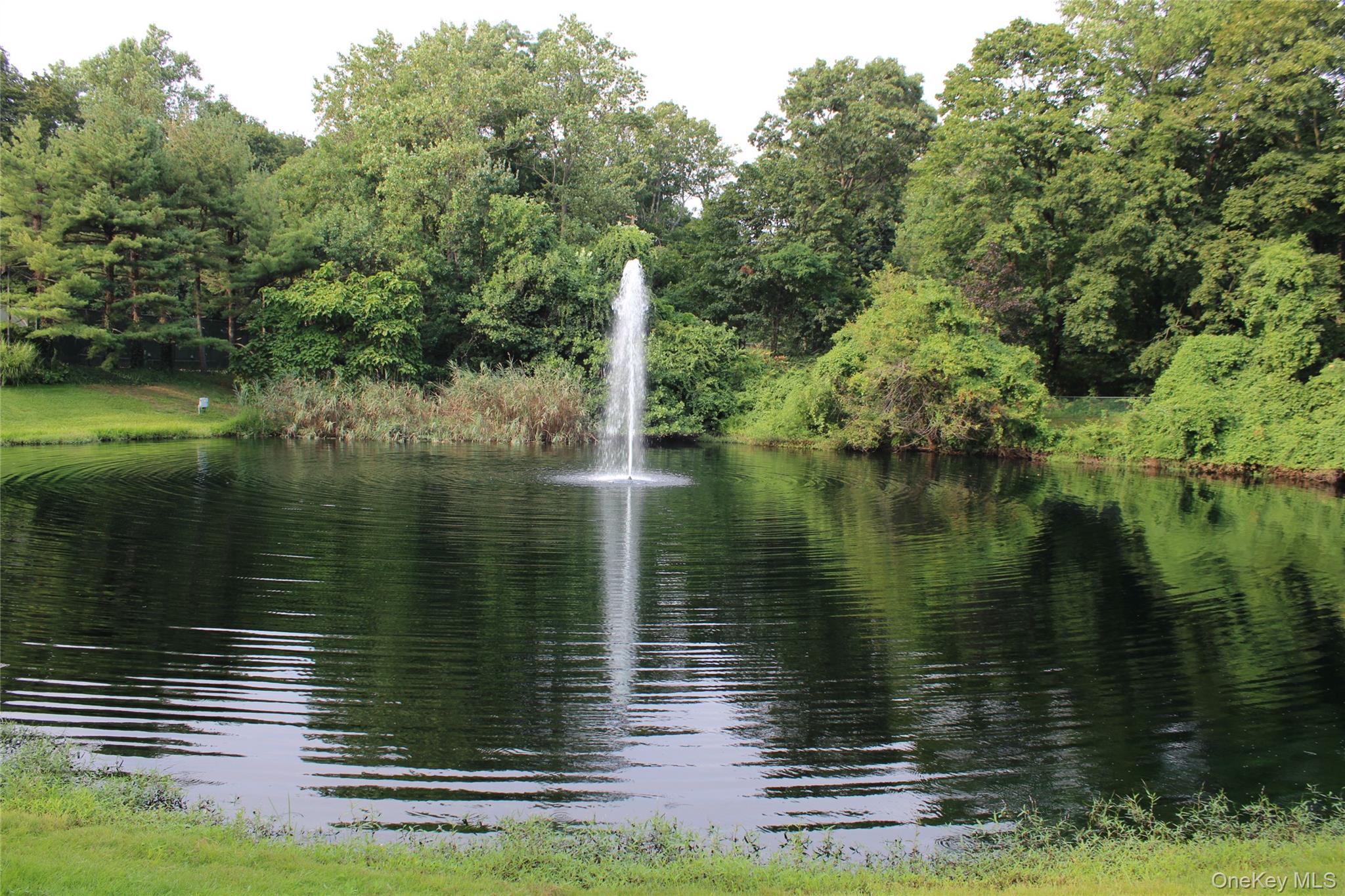 15 Fairway Circle South, Unit 15 Manhasset, NY 11030 - Photo 33 of 39 View of home's community with a pond and water fountain