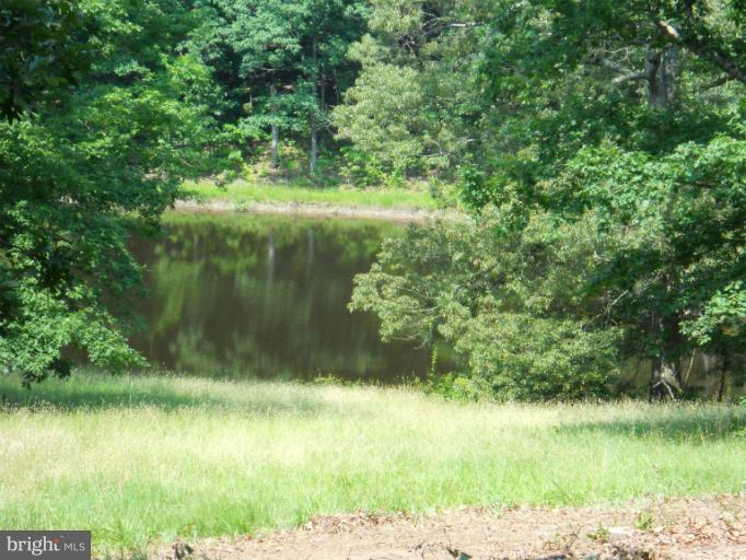 10664 Bears Den Road Marshall, VA 20115 - Photo 16 of 18 Pond