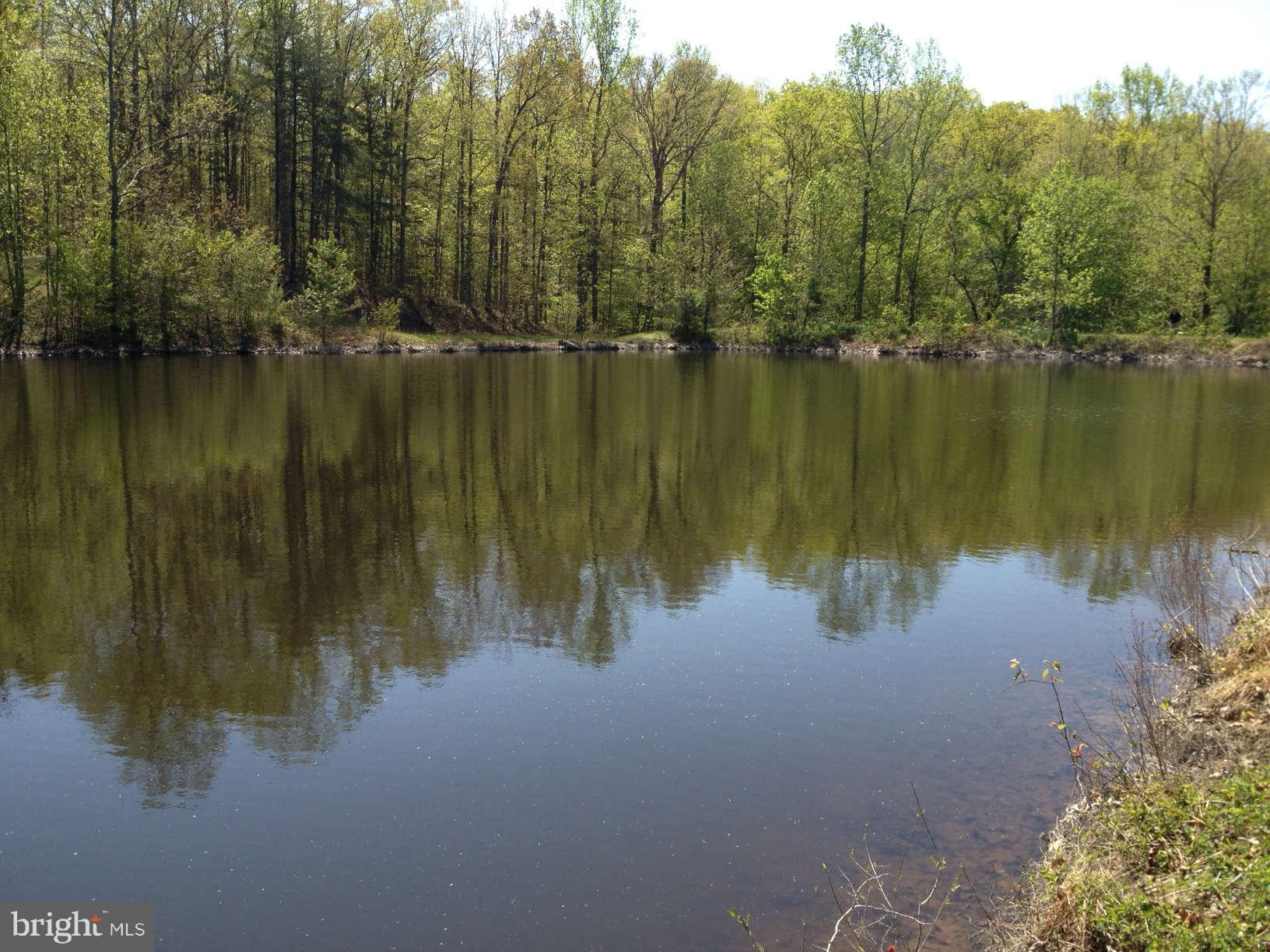 10664 Bears Den Road Marshall, VA 20115 - Photo 17 of 18 Pond reflection