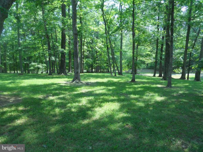10664 Bears Den Road Marshall, VA 20115 - Photo 18 of 18 Front yard