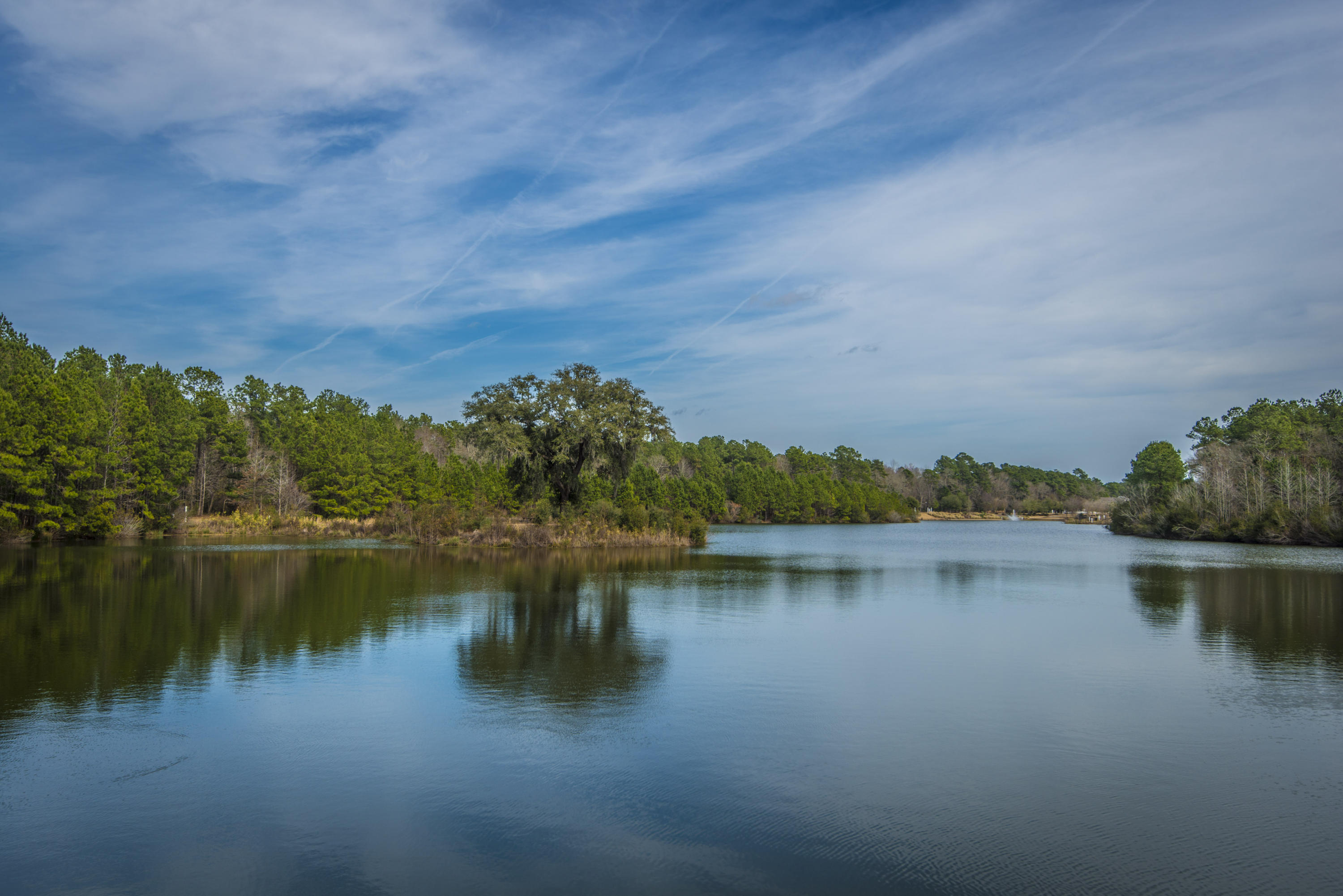 260 Ribbon Road Summerville, SC 29483 - Photo 45 of 48 _DSC0189