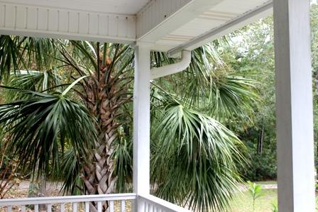 4154 Sebago Road Meggett, SC 29449 - Photo 20 of 20 IMG_3308