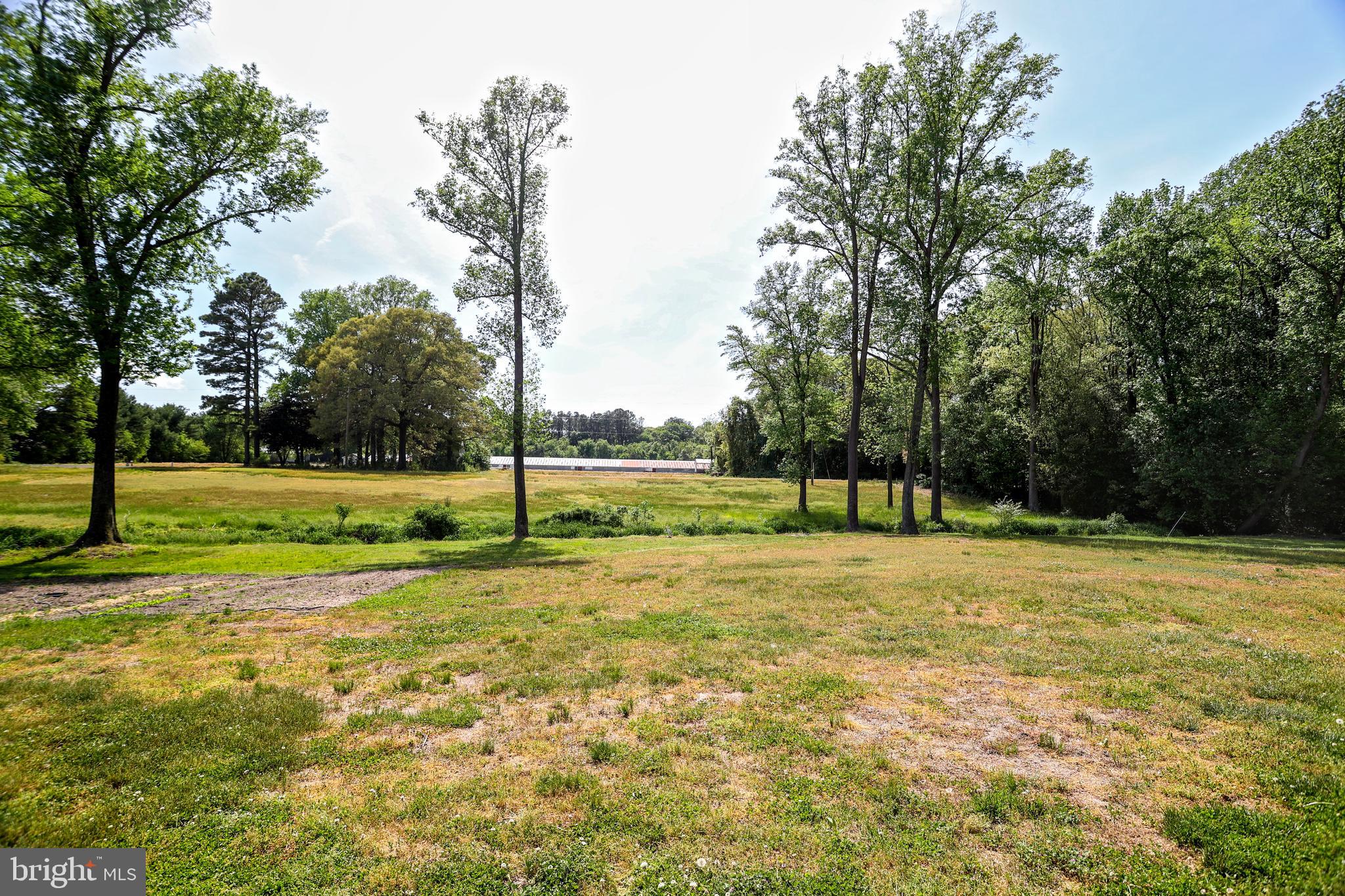 5708 Adams Road Federalsburg, MD 21632 - Photo 45 of 48 Gallery Image 45