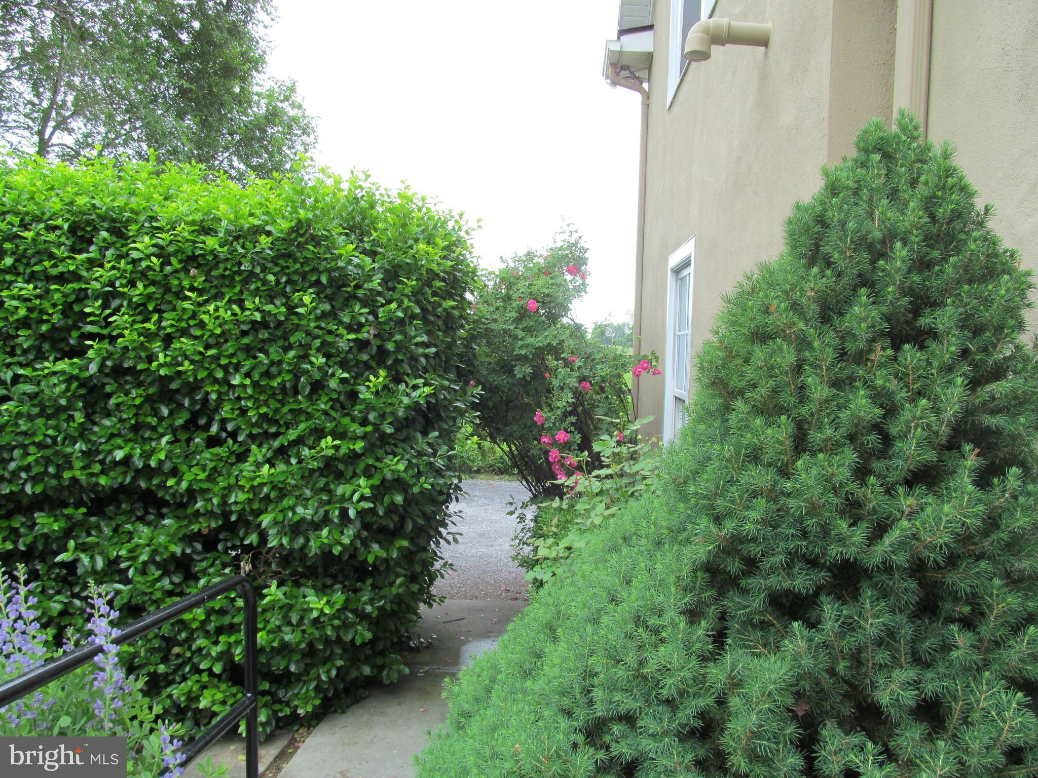 1654 Milldale Road Front Royal, VA 22630 - Photo 15 of 23 Exterior (General)