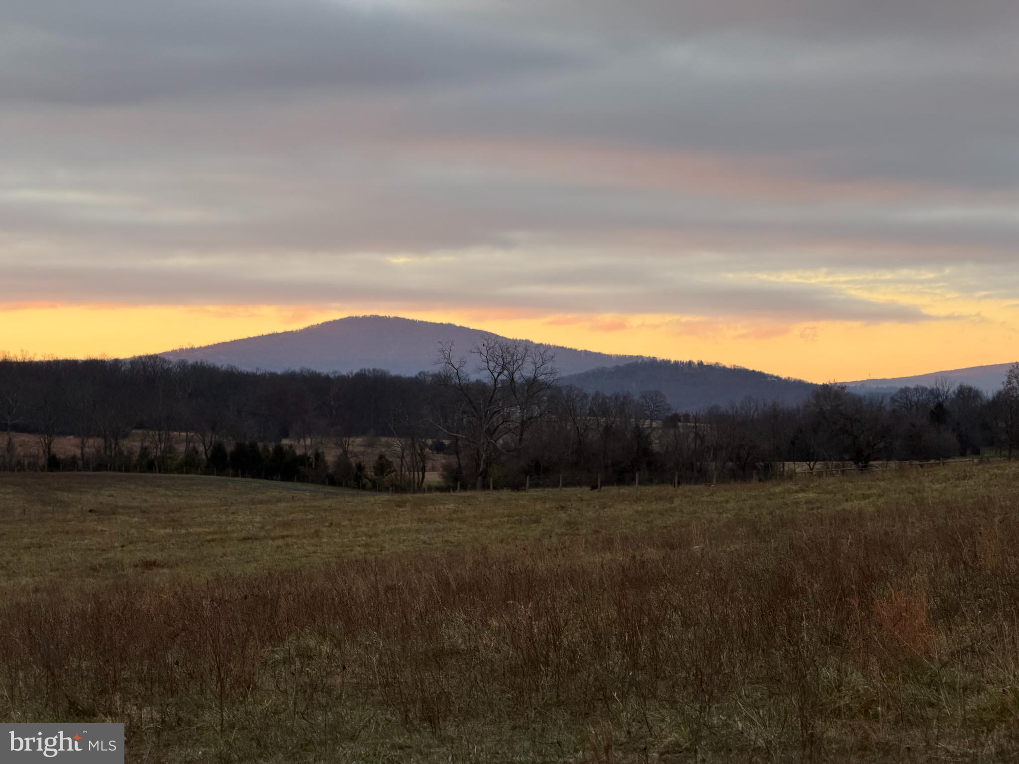1654 Milldale Road Front Royal, VA 22630 - Photo 22 of 23 View from Apartment