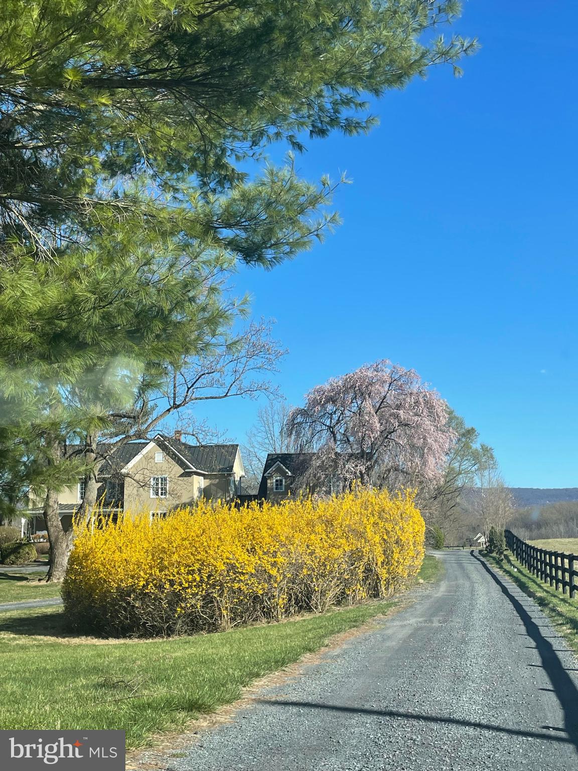 1654 Milldale Road Front Royal, VA 22630 - Photo 23 of 23 Driveway