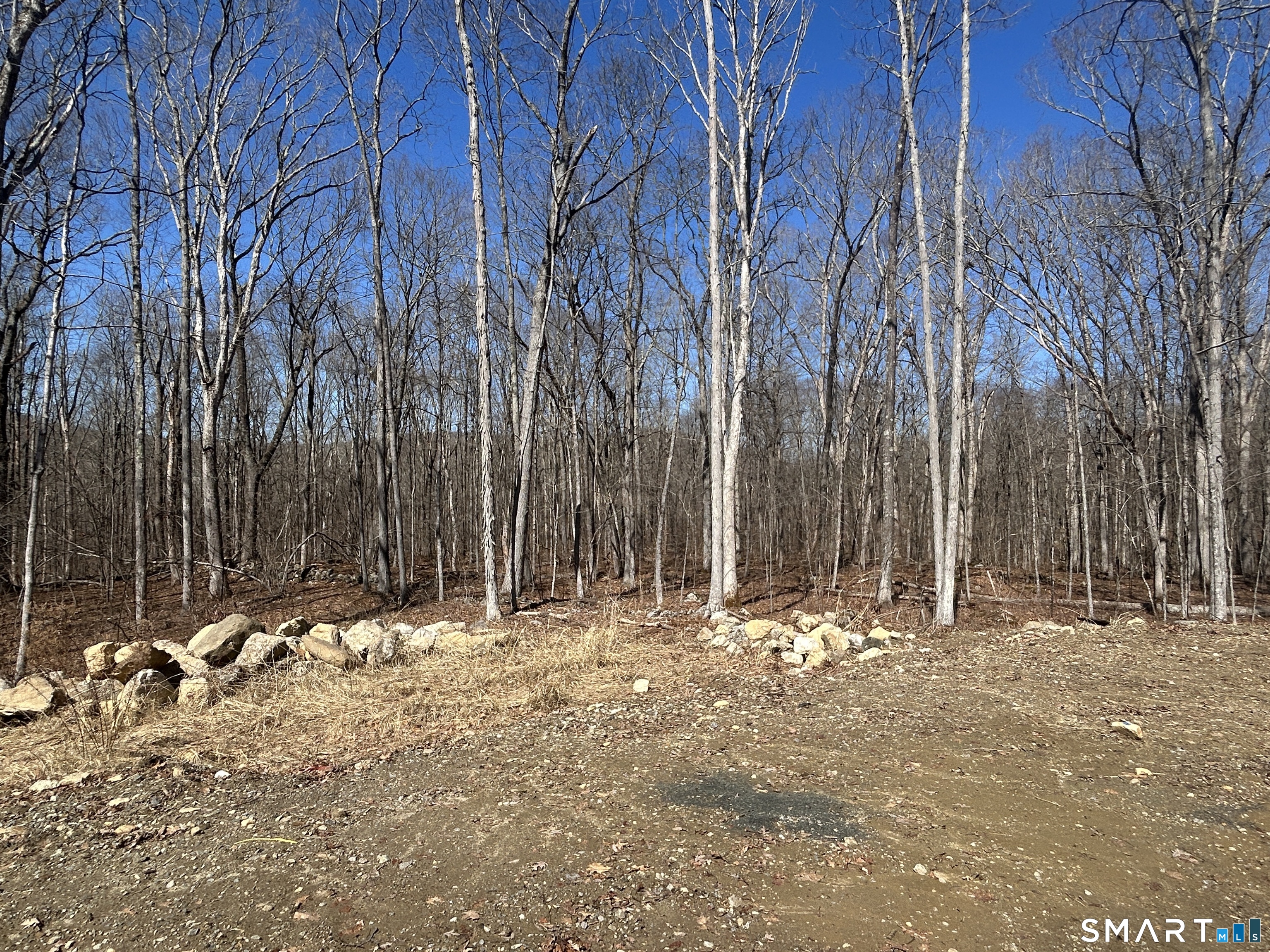 12 Chestnut Lane Washington, CT 06777 - Photo 34 of 40