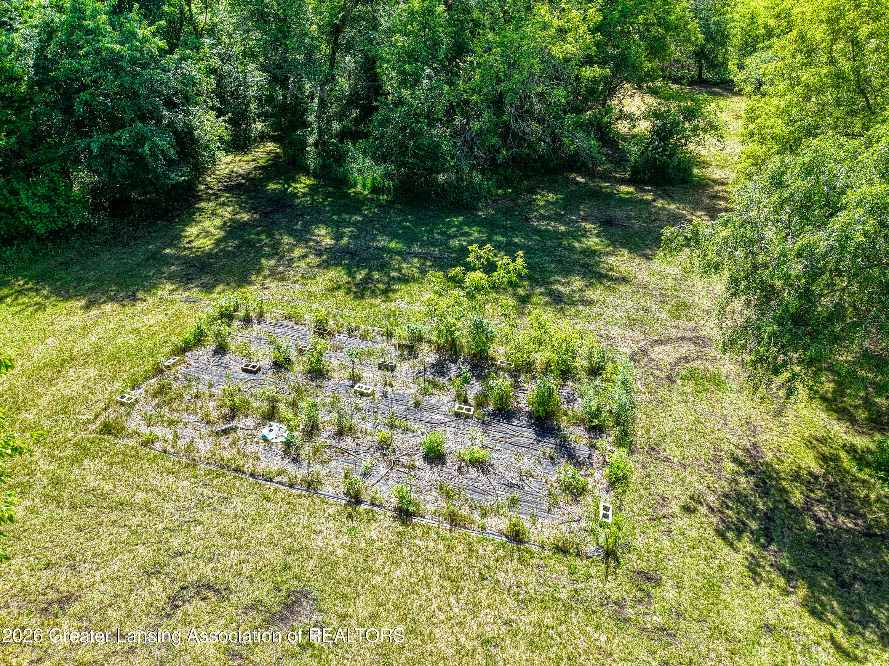 3248 Lienhart Road Dansville, MI 48819 - Photo 54 of 62 Aerial