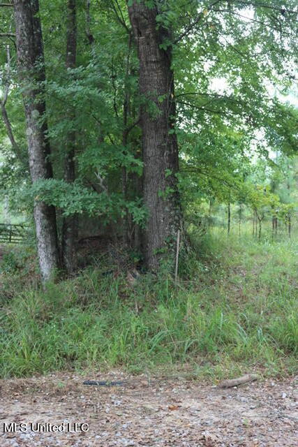 Salem Church Road Toomsuba, MS 39364 - Photo 2 of 2 IMG_4715