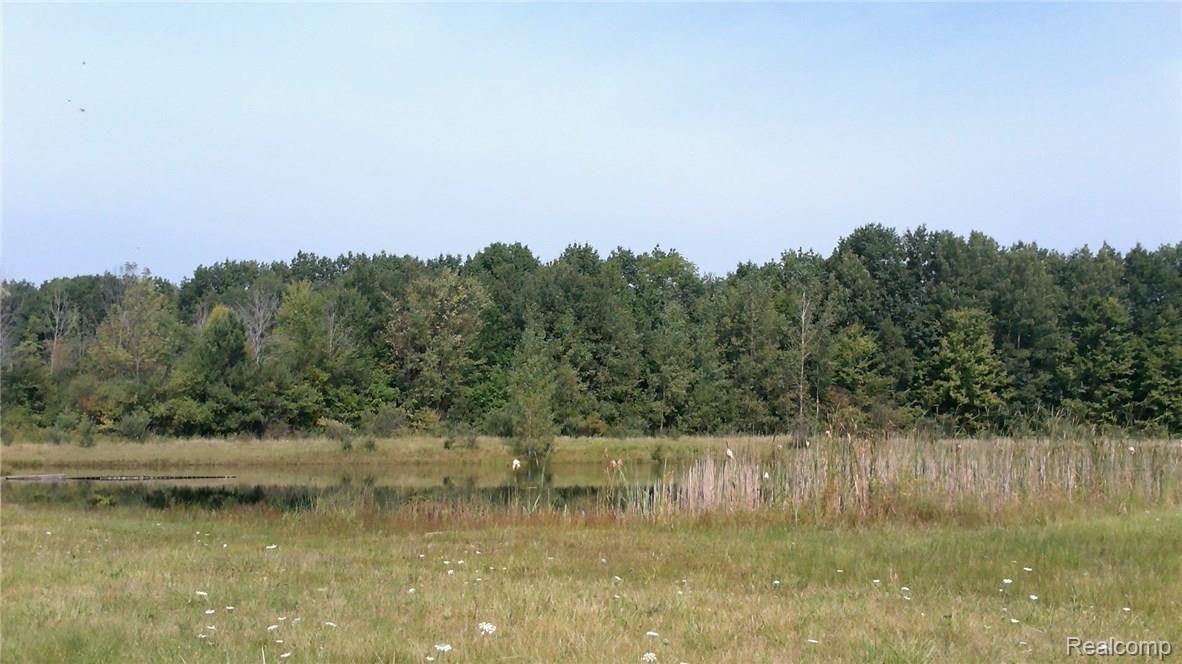11480 Wilkes Road Yale, MI 48097 - Photo 39 of 83 WIN_20150903_112031.JPG
