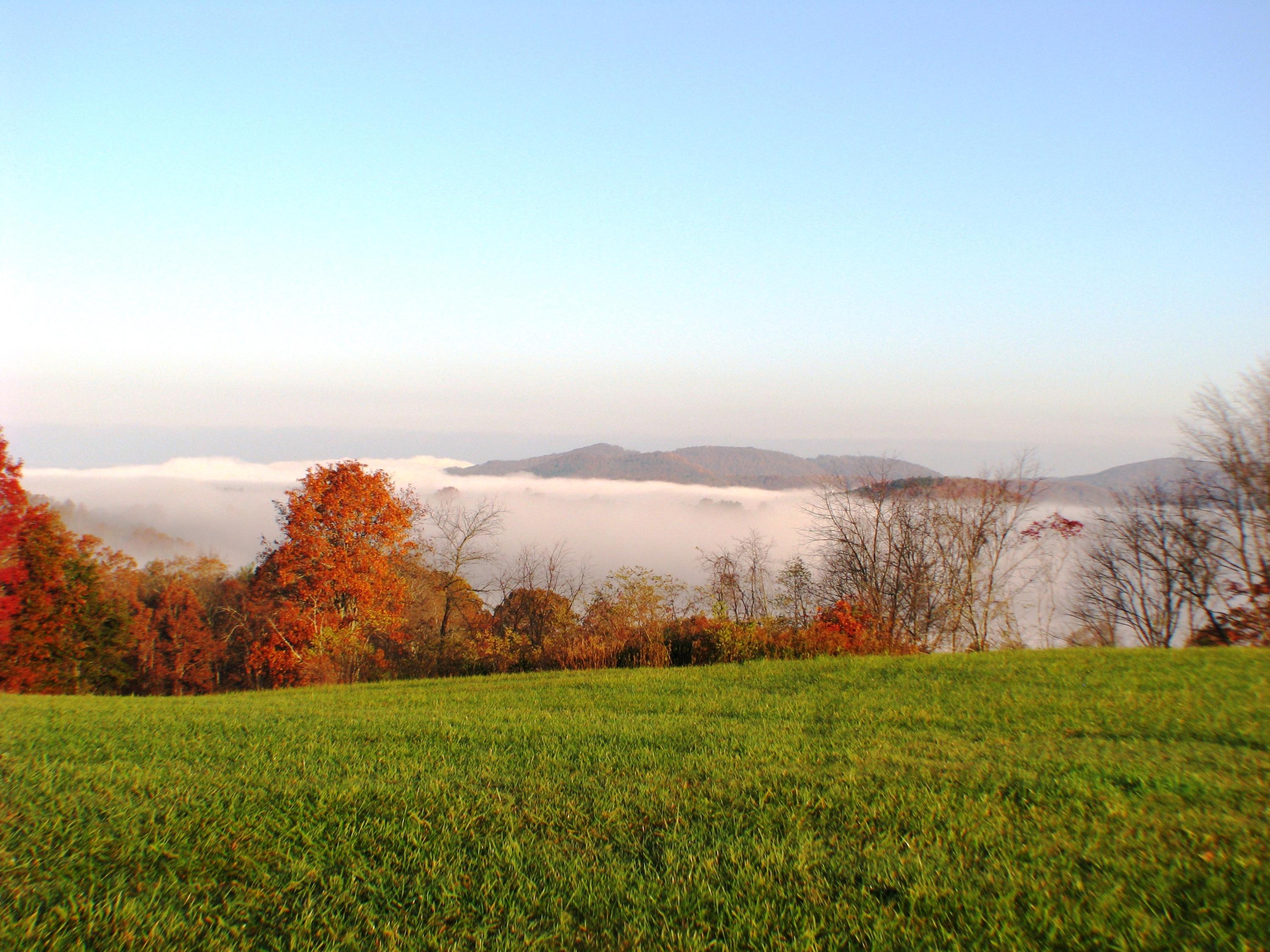 White Tree Hill Road Ballard, WV 24918 - Photo 20 of 36 Gallery Image 20