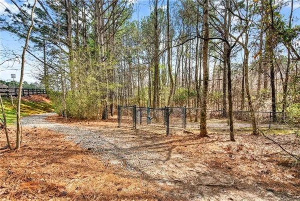 a view of a yard with large trees