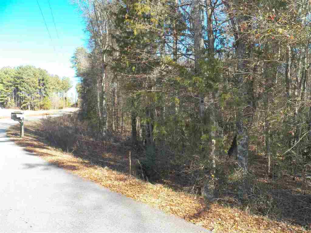 0 Blue Ridge Riding Club Road West Union, SC 29696 - Photo 12 of 15 Gallery Image 12