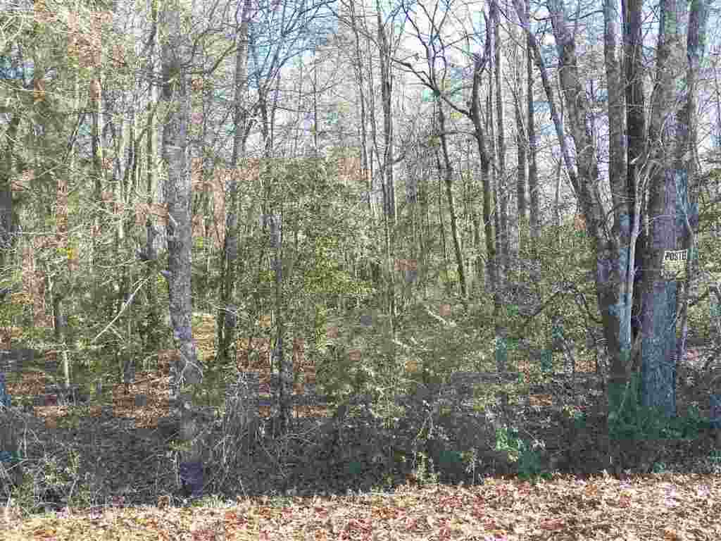 0 Blue Ridge Riding Club Road West Union, SC 29696 - Photo 13 of 15 Gallery Image 13