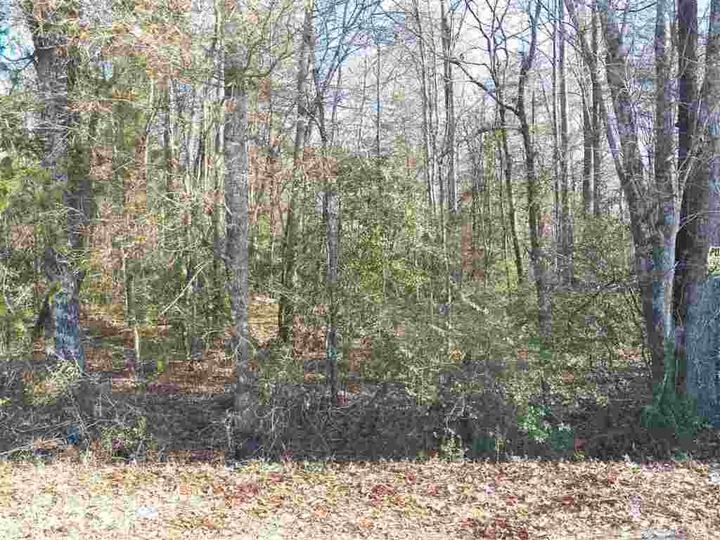 0 Blue Ridge Riding Club Road West Union, SC 29696 - Photo 14 of 15 Gallery Image 14