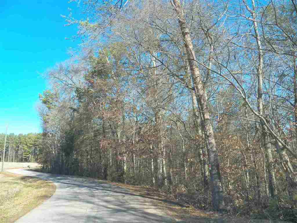 0 Blue Ridge Riding Club Road West Union, SC 29696 - Photo 15 of 15 Gallery Image 15