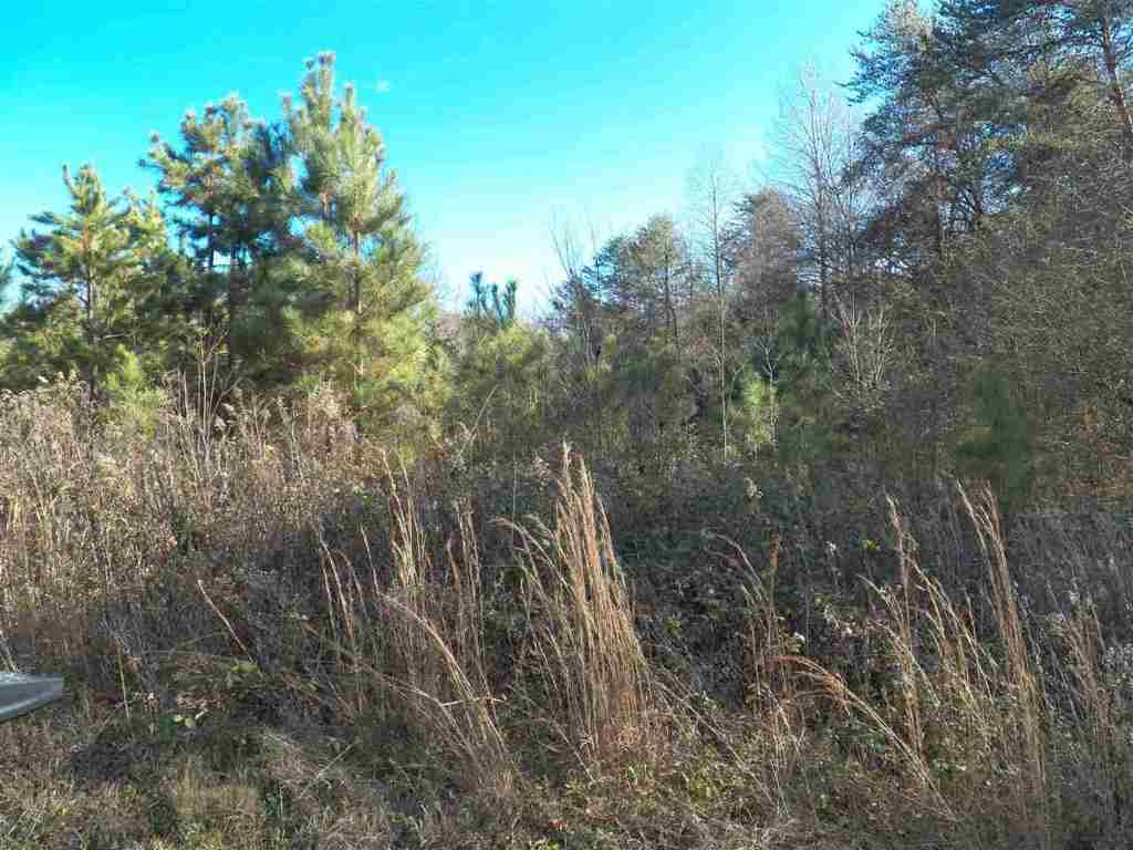 0 Blue Ridge Riding Club Road West Union, SC 29696 - Photo 2 of 15 Gallery Image 2