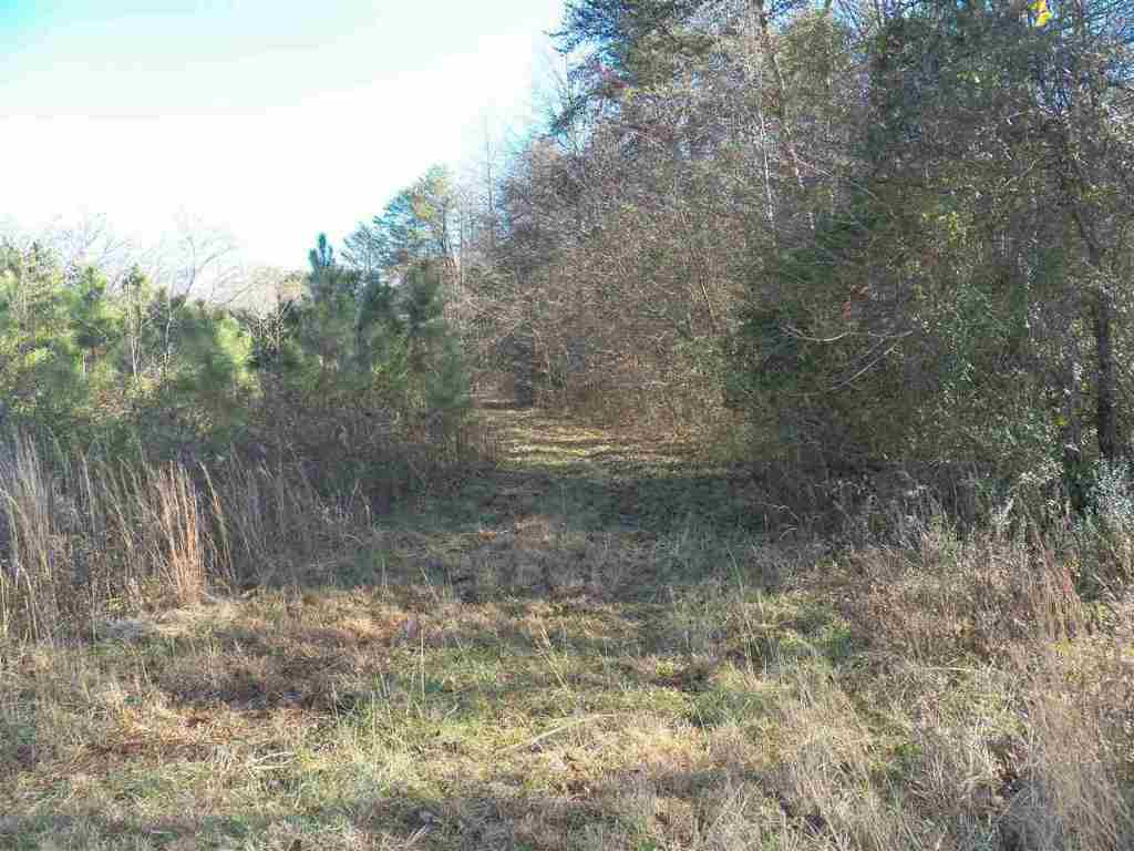 0 Blue Ridge Riding Club Road West Union, SC 29696 - Photo 3 of 15 Gallery Image 3