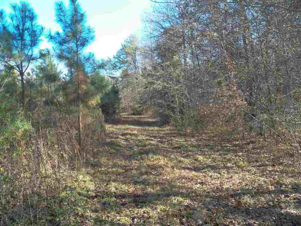 0 Blue Ridge Riding Club Road West Union, SC 29696 - Photo 5 of 15 Gallery Image 5