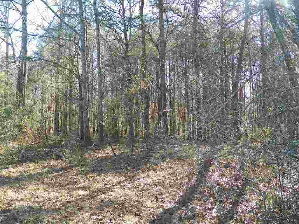 0 Blue Ridge Riding Club Road West Union, SC 29696 - Photo 6 of 15 Gallery Image 6