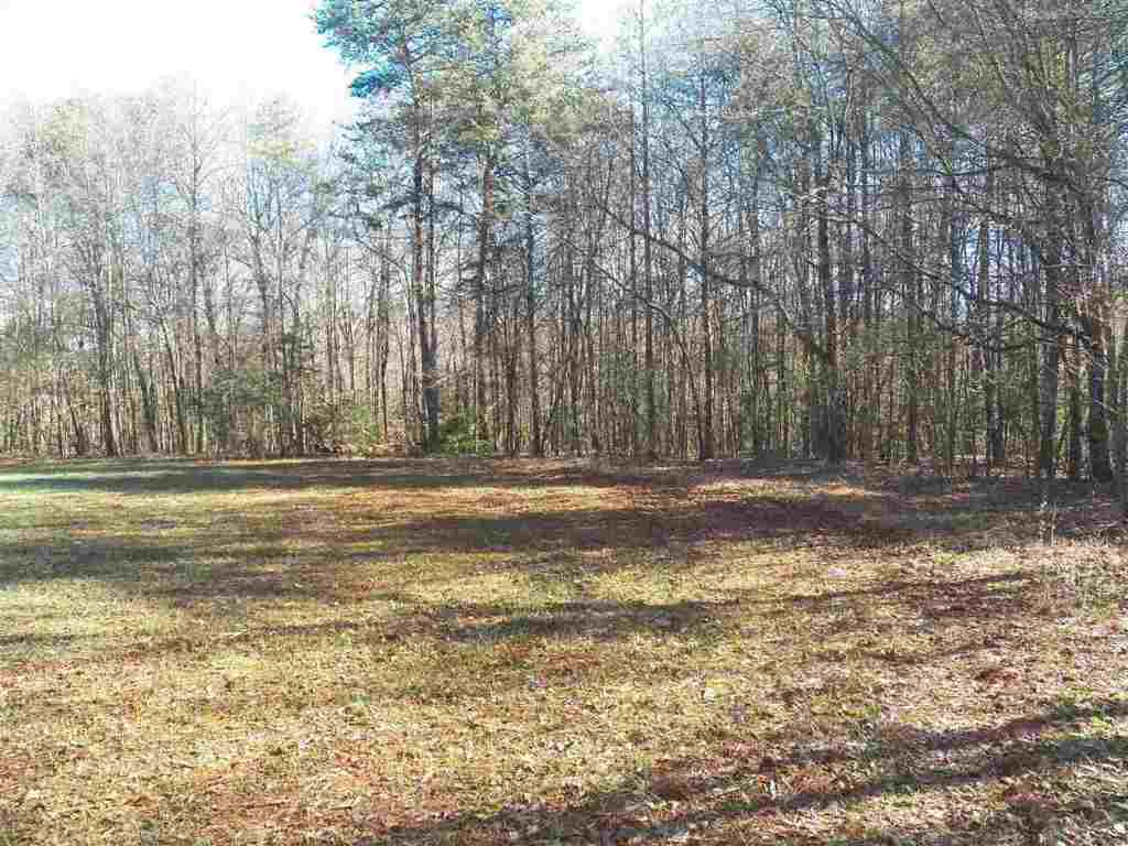 0 Blue Ridge Riding Club Road West Union, SC 29696 - Photo 9 of 15 Gallery Image 9