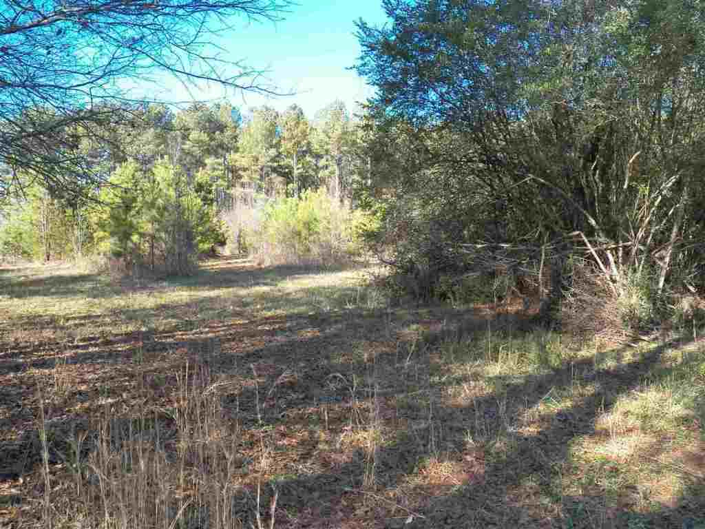 0 Blue Ridge Riding Club Road West Union, SC 29696 - Photo 10 of 15 Gallery Image 10