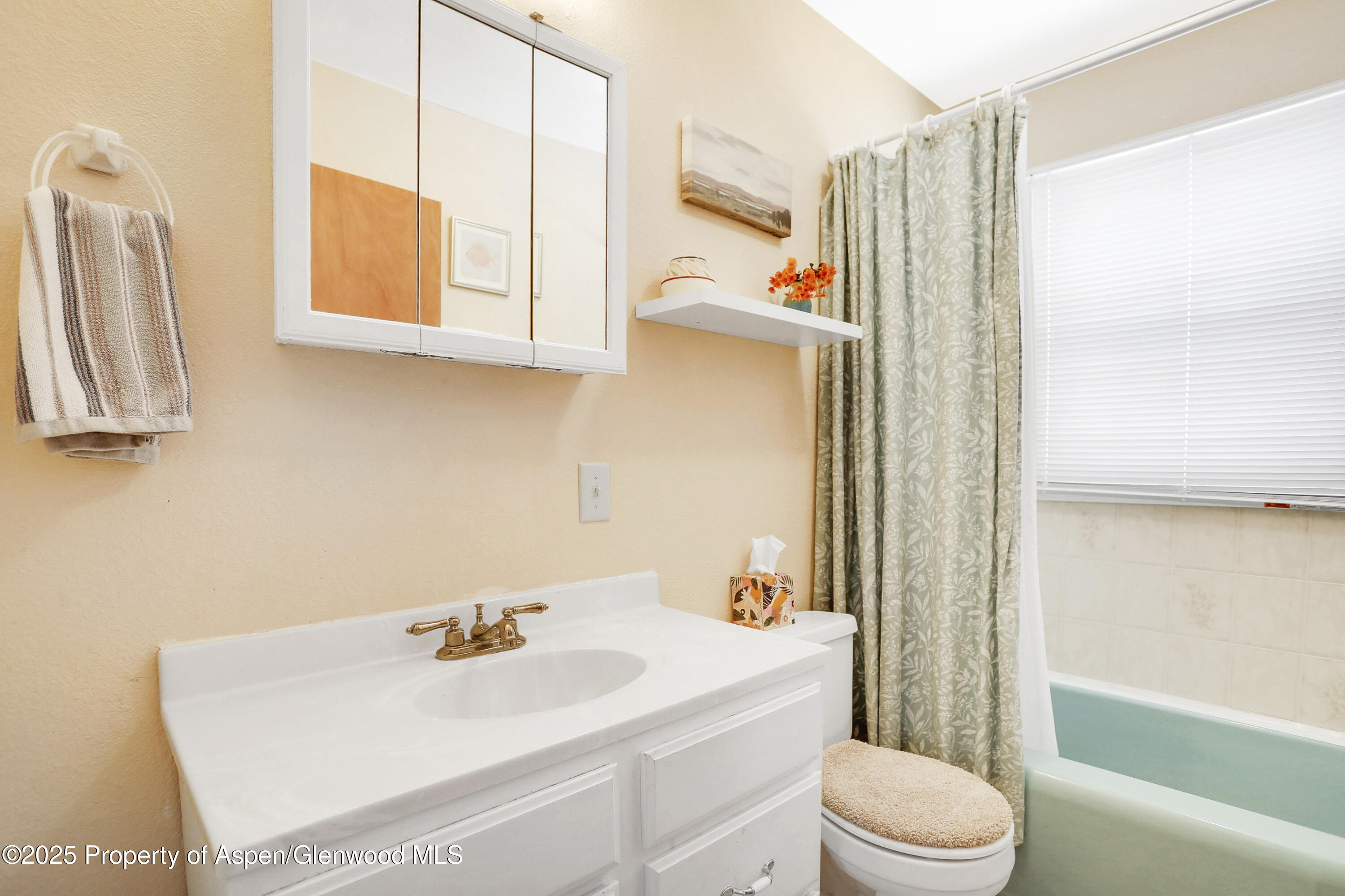 901 Pershing Street Craig, CO 81625 - Photo 16 of 37 a bathroom with a sink a toilet and shower curtain