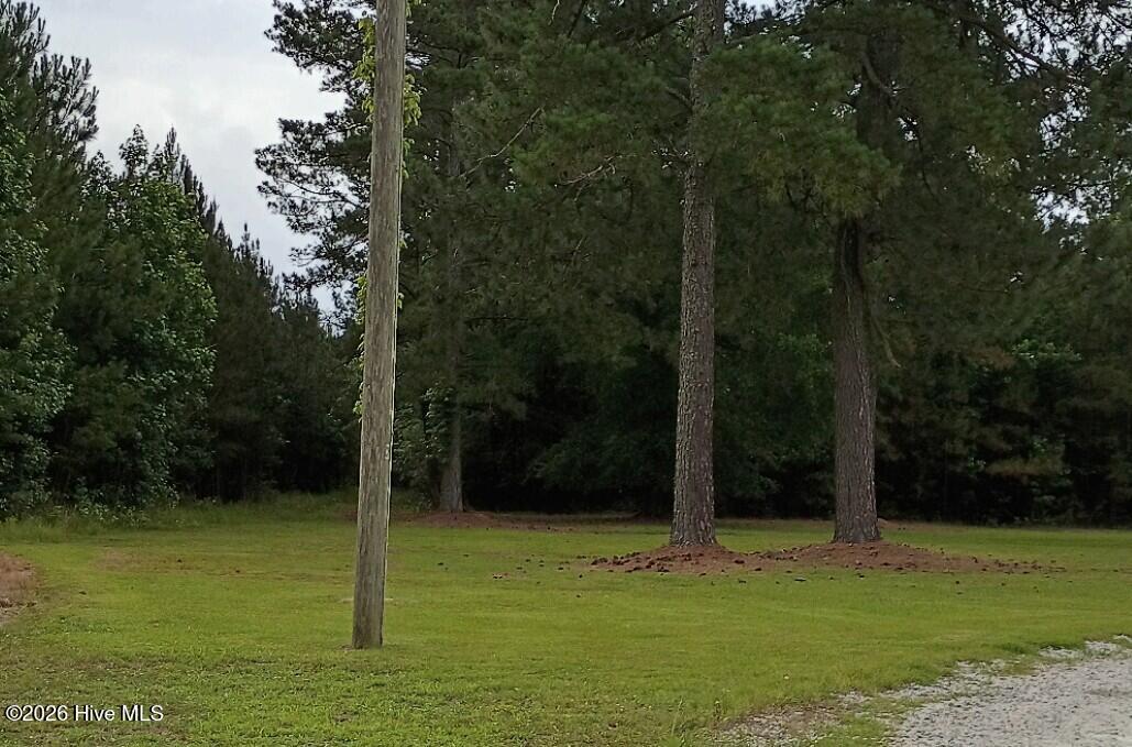 0 Maules Point Road Blounts Creek, NC 27814 - Photo 2 of 7 005
