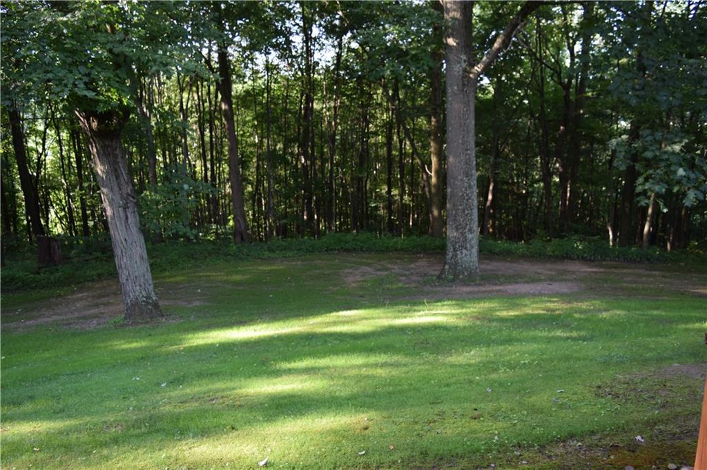 157 South Camp Run Road Fombell, PA 16123 - Photo 16 of 21 Back yard view of mature trees.