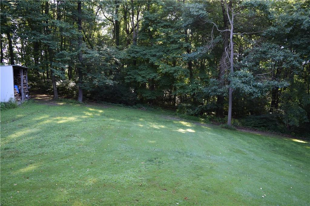 157 South Camp Run Road Fombell, PA 16123 - Photo 17 of 21 Back yard view from back porch with wood shed.