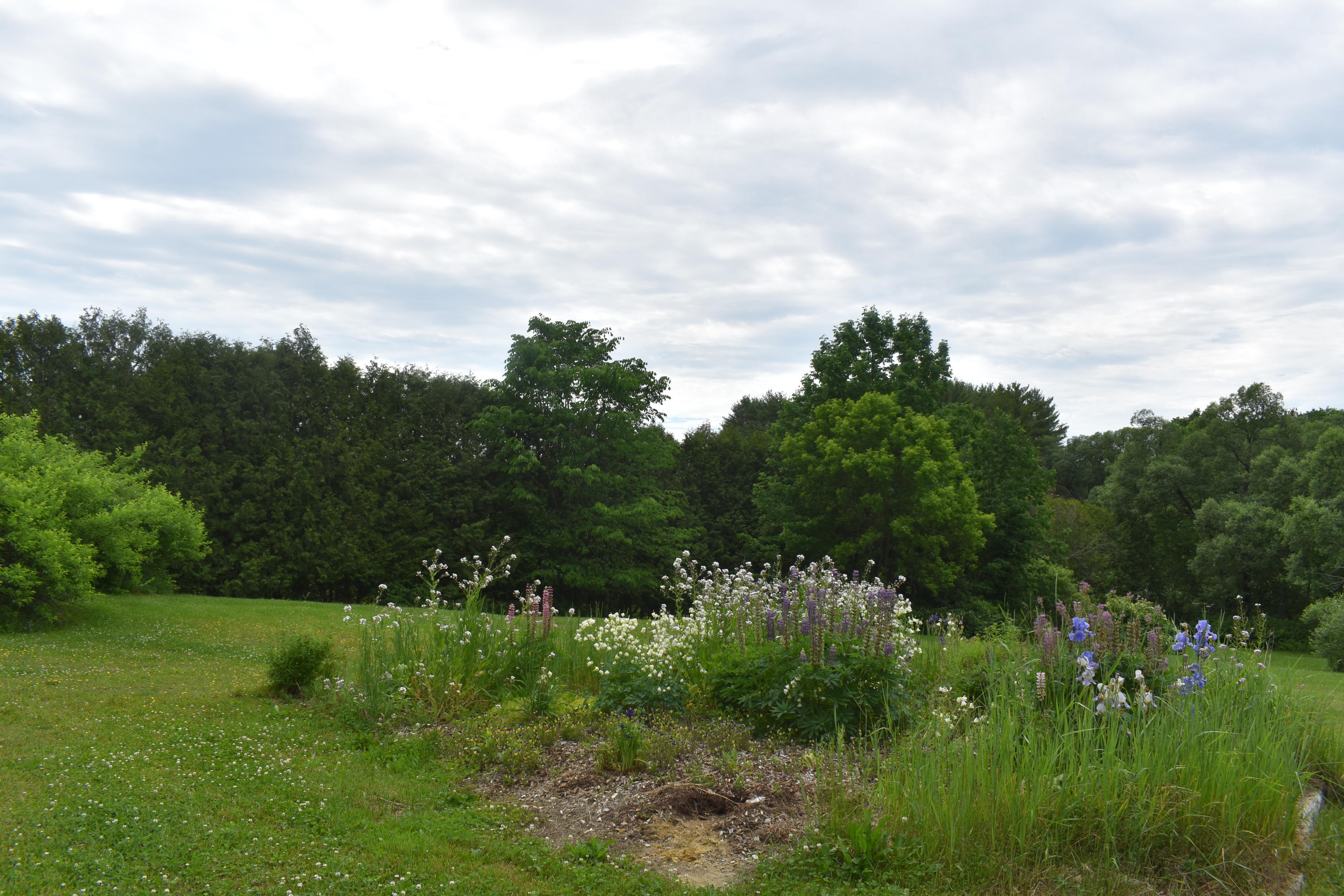 60 Old Lewiston Road Monmouth, ME 04265 - Photo 35 of 38 Fields