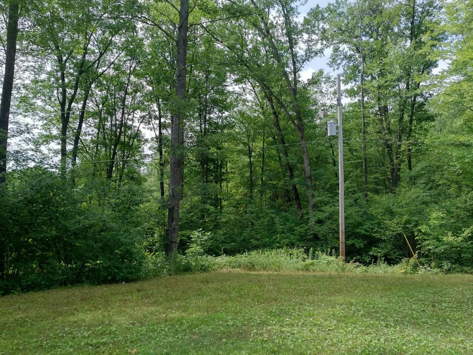 5691 Oak Ridge Drive Gladwin, MI 48624 - Photo 48 of 74